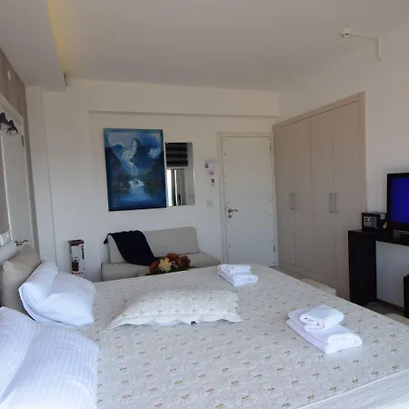 Mavi Panorama Willa *